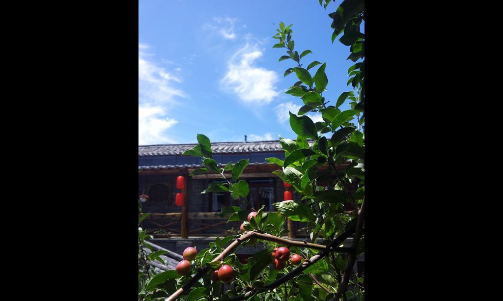 Lazy Tiger Inn 麗江市 エクステリア 写真
