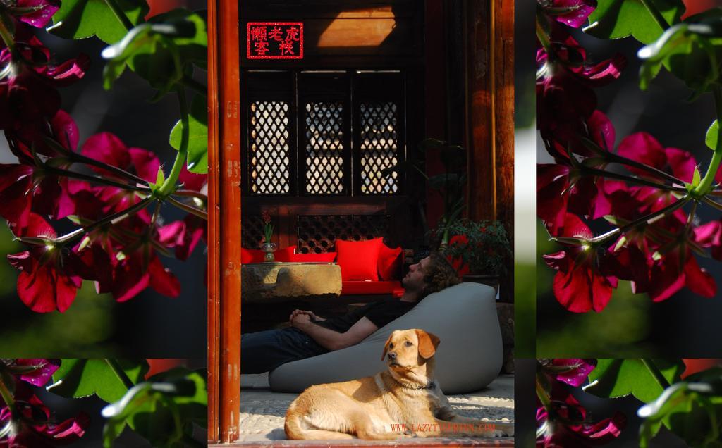 Lazy Tiger Inn 麗江市 エクステリア 写真