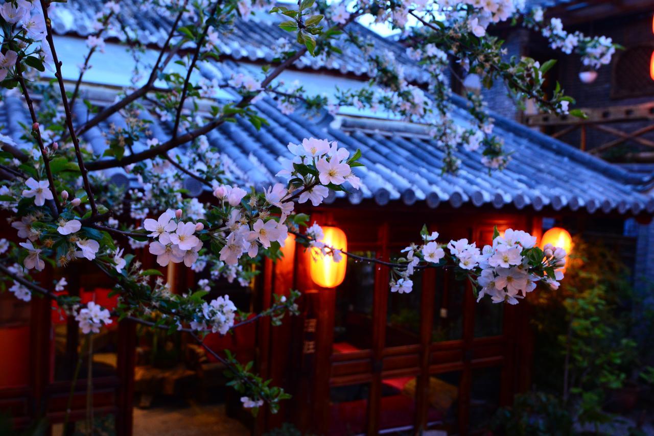 Lazy Tiger Inn 麗江市 エクステリア 写真